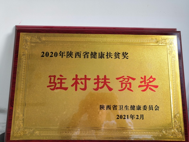 陕西省第四人民医院荣获2020年全省健康扶贫驻村扶贫奖